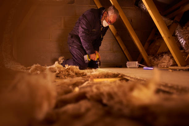 Best Insulation Maintenance and Repair in Jal, NM